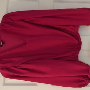 Express Baloon Sleeve Satin V-Neck Top